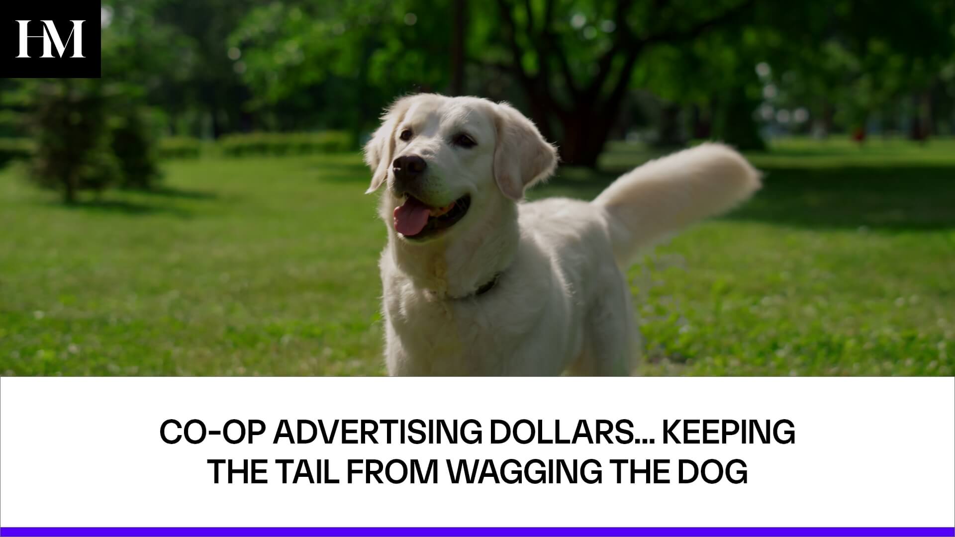 CO-OP ADVERTISING DOLLARS... KEEPING THE TAIL FROM WAGGING THE DOG